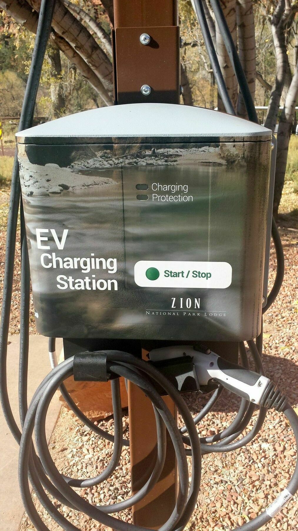 Zion Lodge スプリングデール エクステリア 写真