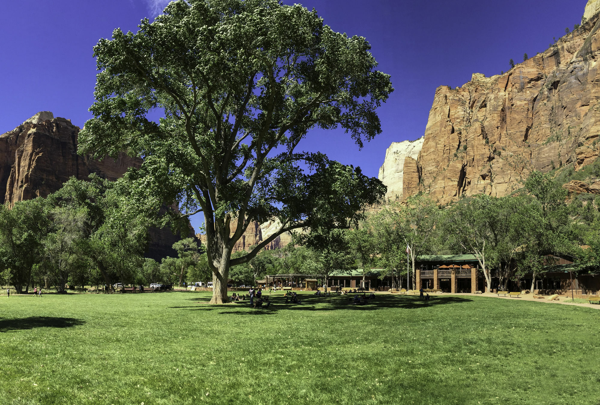 Zion Lodge スプリングデール エクステリア 写真